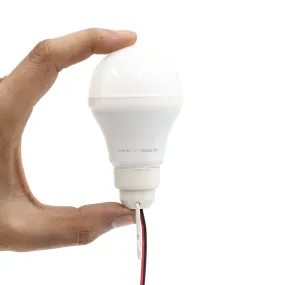 12VDC Solar LED Bulb