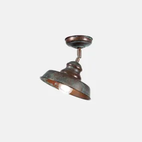 Aged Brass Adjustable Interior/Exterior Ceiling Light