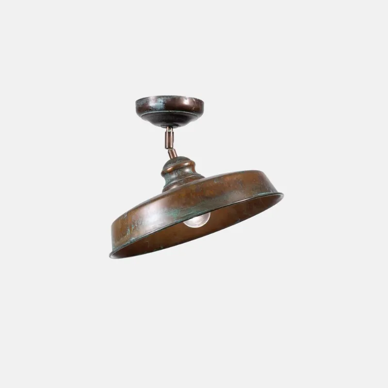 Aged Brass Adjustable Interior/Exterior Ceiling Light