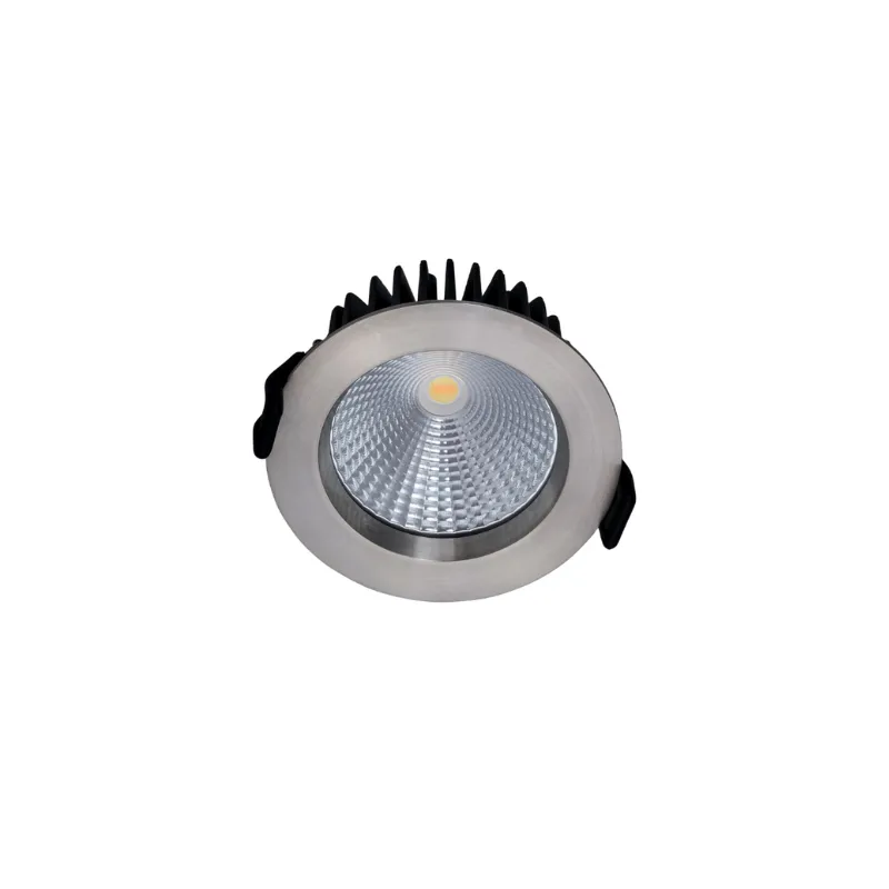 Aluminium Fixed Flush LED Downlight | Stainless Steel | Five Colour