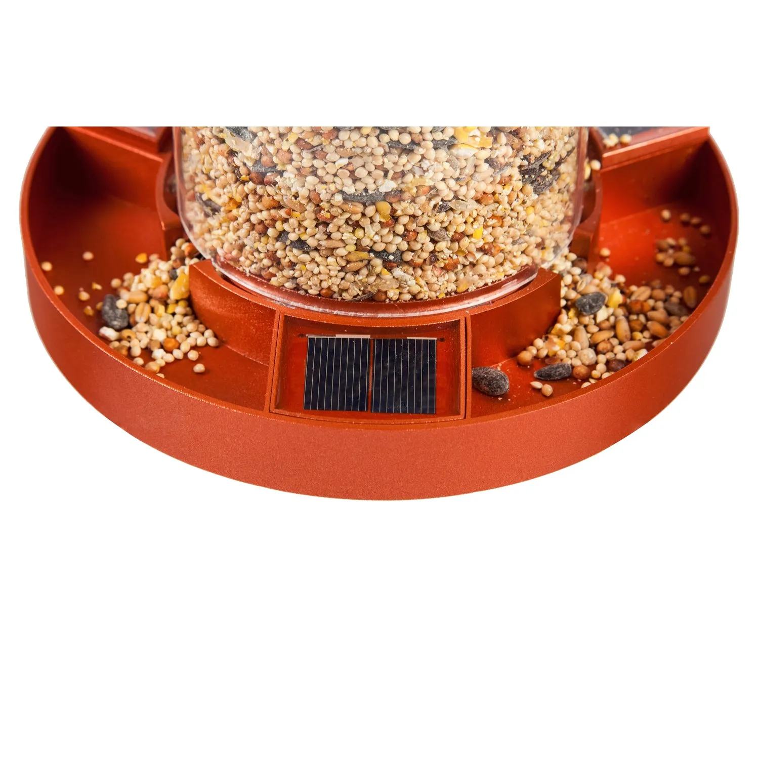 Bird Feeder - Butterflies (Solar)