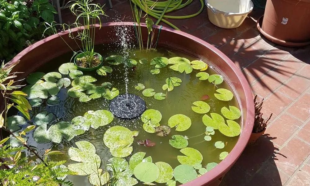 Dotmalls Solar Powered Water Fountain